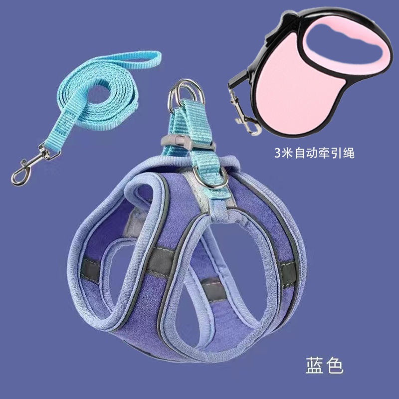 O1CN01RgK42n21aVcj1iCaz_21212214326607001-0-cib-1.jpg 12