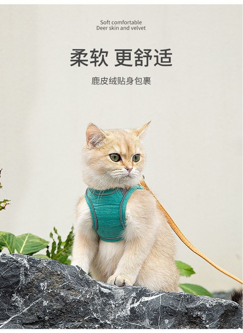 O1CN01aEyrEC21aVcfSUQnr_21212214326607001-0-cib.jpg 22