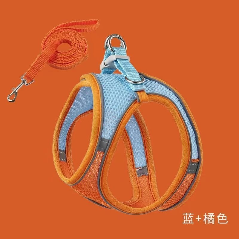 O1CN01vo8AMo21aVcd1Ruw0_21212214326607001-0-cib.jpg 7